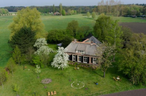 Гостиница B&B Rezonans  Warnsveld